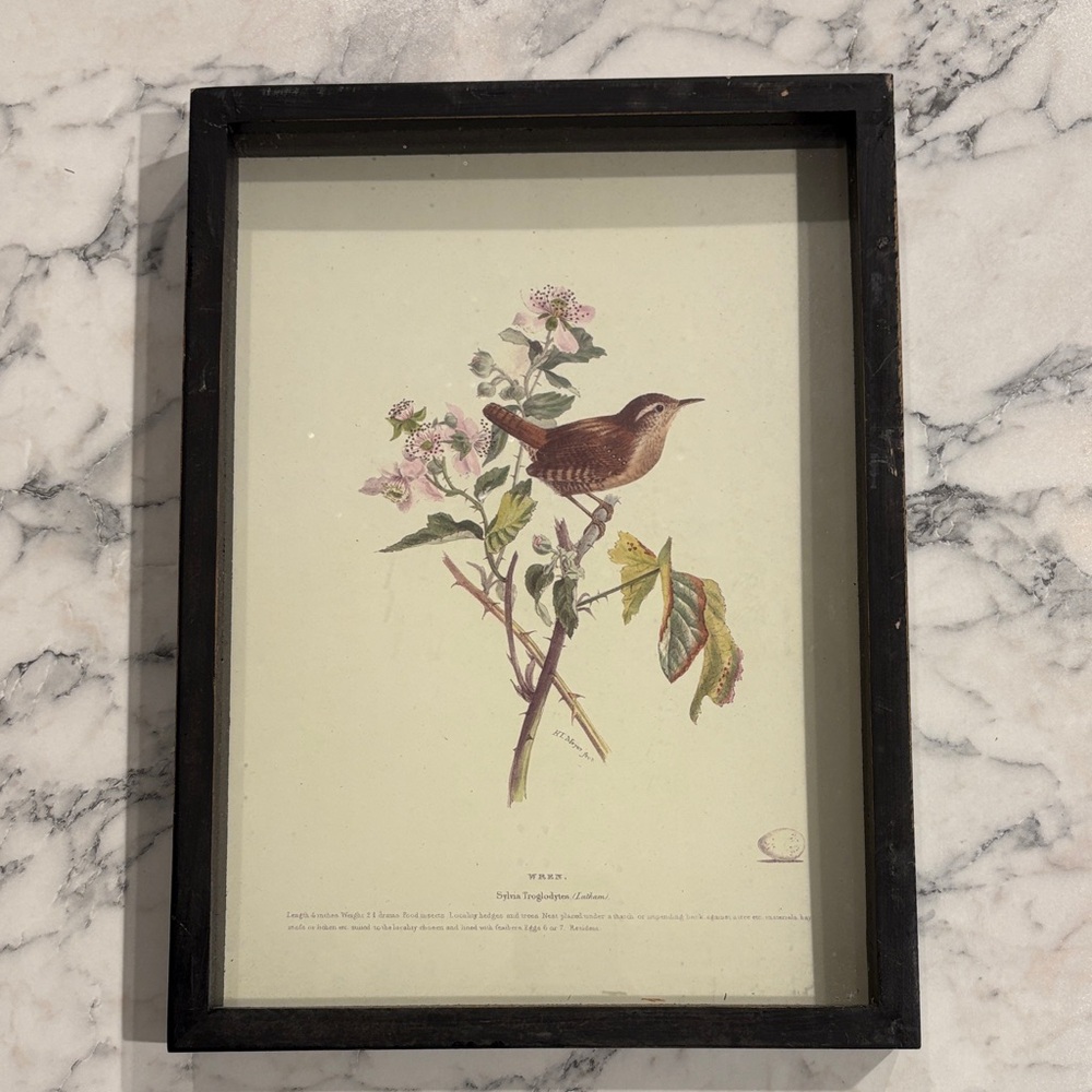 Kirklands Black Framed Wren and Floral Art